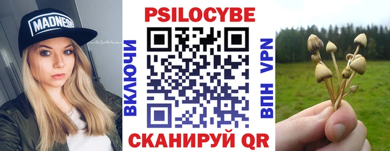 Галлюциногенные грибы Psilocybine cubensis  Купить  Щучье 